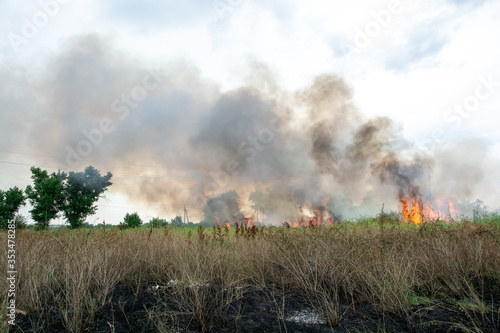 summer fire in the green grass. large flames over the shrubs. black smog in the sky. ecological catastrophy