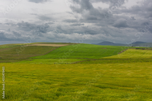 Dramatic thunderstorm clouds over farm green grass field © sgolovunin