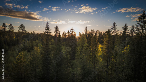 sunset over forest