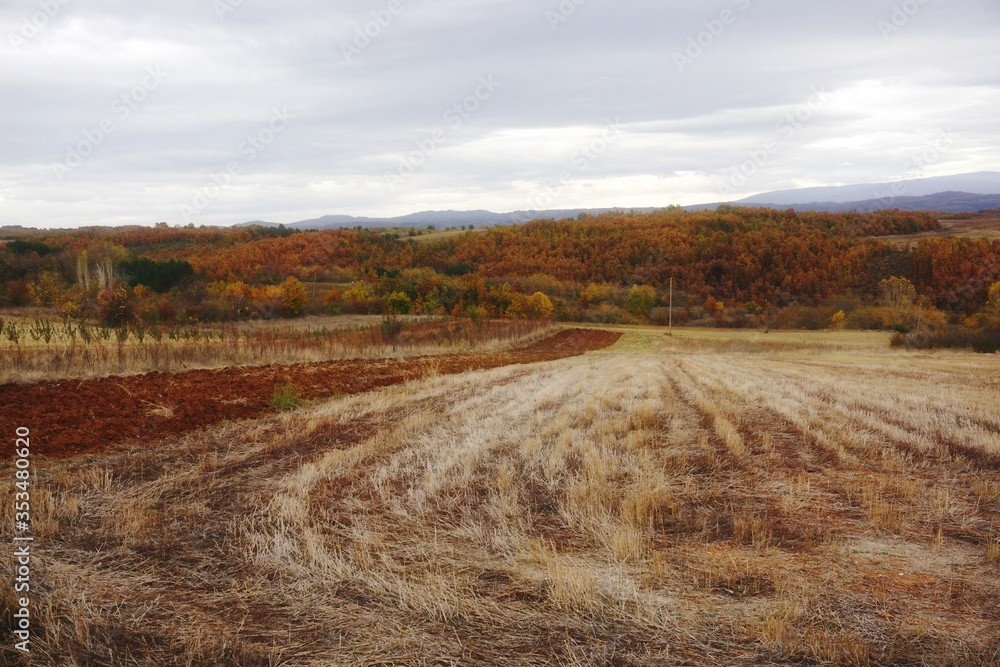 Obraz premium autumn landscape in the mountains