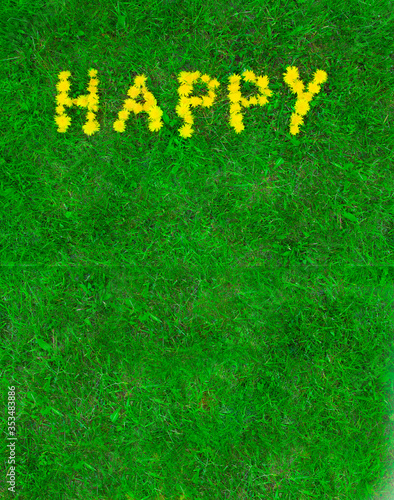 on green grass written by dandelions flowers the word happy spring