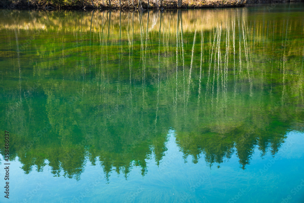 water background with reflecting fir trees and green plants, blue sky water background with reflecting fir trees and green plants, blue sky
