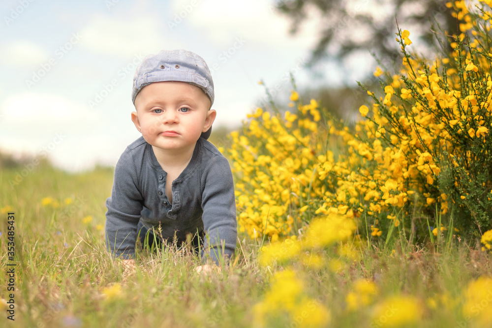 infant with a serious expression climbs a meadow infant with a serious expression climbs a meadow