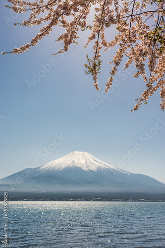 View of the Mt. Fuji symbol of Japan and Yamanaka lake with cherry blossoms © Mirko