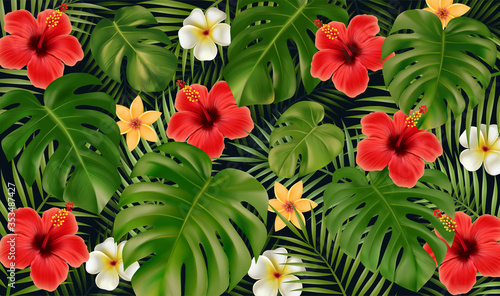 Summer Tropical background. Tropical flowers and monstera leaves, palm leaves of tropical plants isolated on black background. Vector illustration EPS10