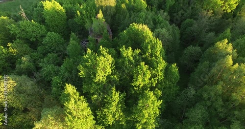 4K early summer sunny afternoon aerial video of abandoned village site with ruins of houses and church inmiddle of dense green wild woods in Russia's Yaroslavl region
