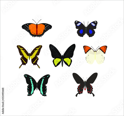 collection of different butterfly. illustration for web and mobile design.