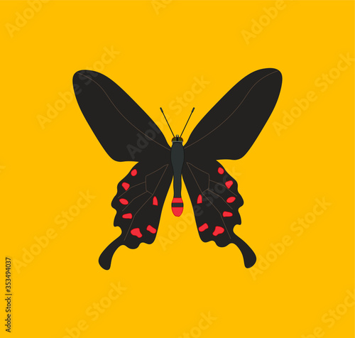 pachliopta kotzebuea butterfly. illustration for web and mobile design. photo