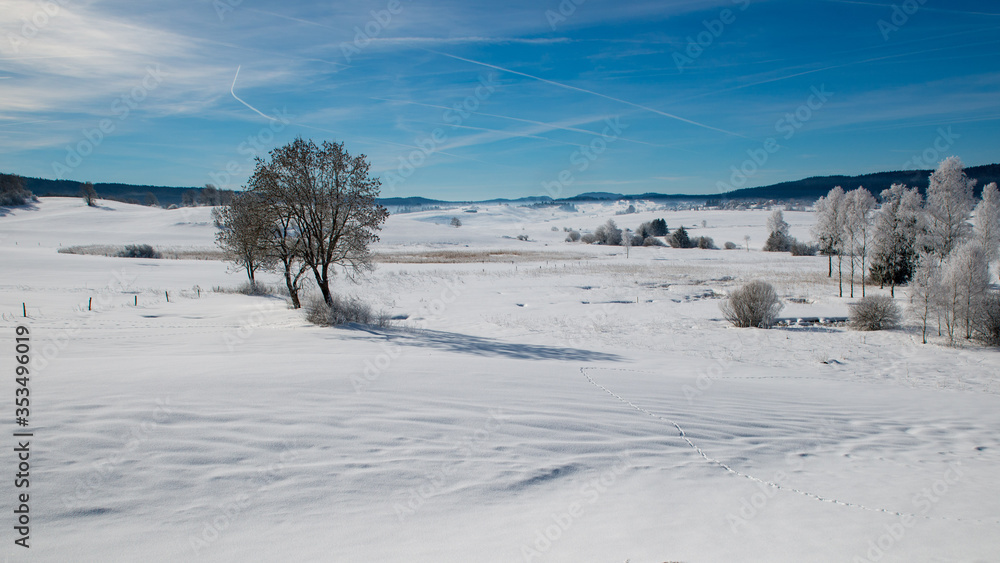 Winter scenery with tree coverd in show and blue sky Winter scenery with tree coverd in show and blue sky