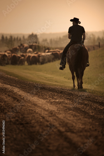 Billede på lærred cowboy on cattle drive