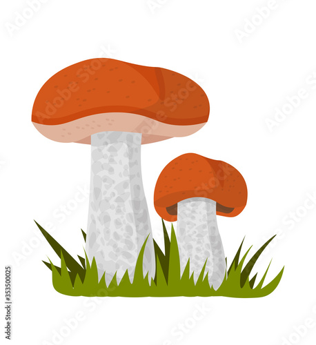 Small and big boletus oiler mushroom in grass