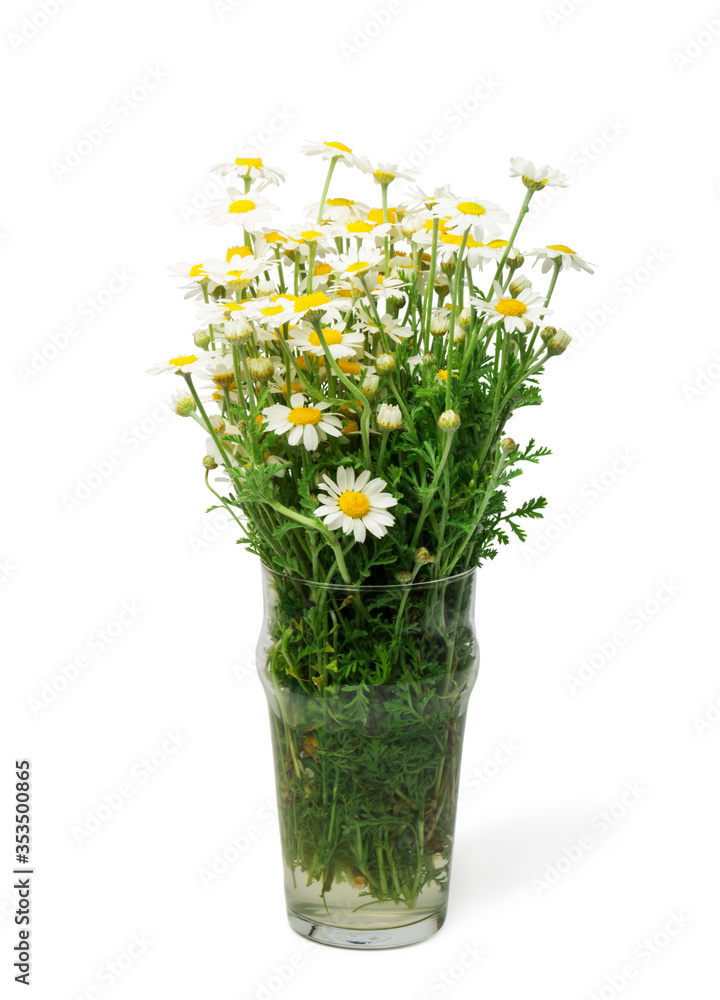 Fototapeta premium Bouquet of white daisy flowers in vase
