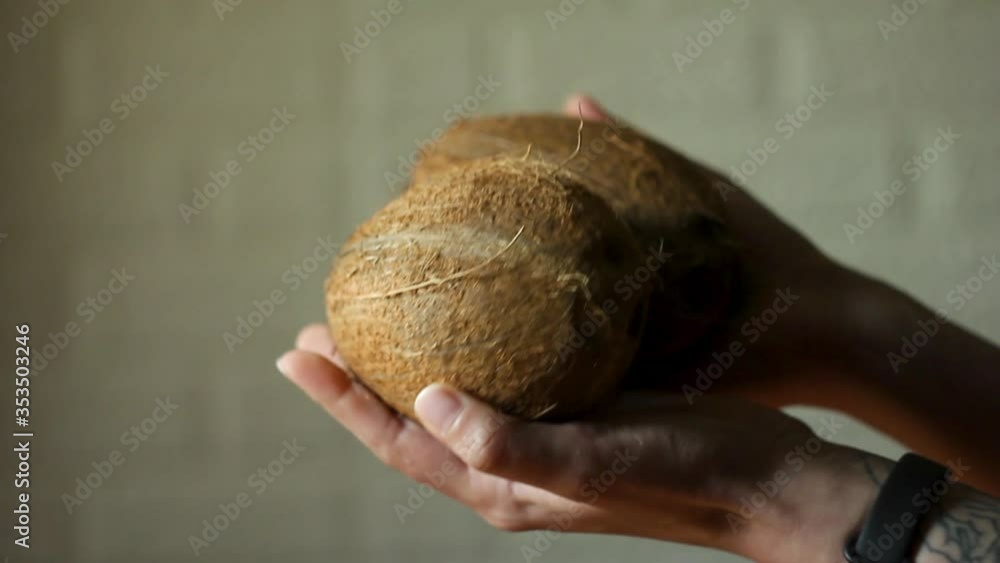 Female hands holding two ripe coconuts. Fresh natural food. Tropical fruits. Female hands holding two ripe coconuts. Fresh natural food. Tropical fruits.