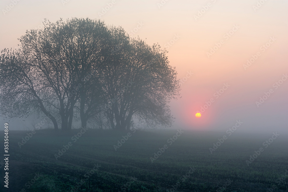 misty morning sunrise