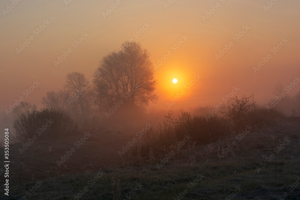 sunrise in the fog