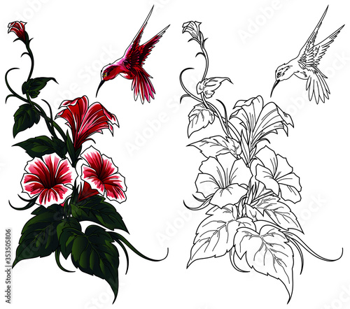 Tropical vector with exotic flowers, hummingbird, hibiscus, orchid flower, bird of paradise. Botanical vintage colorful illustration.