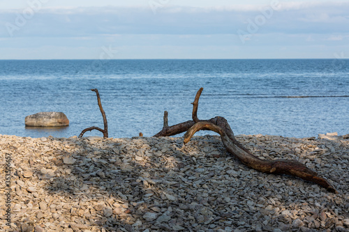 Coastline of Vormsi island © EriksZ