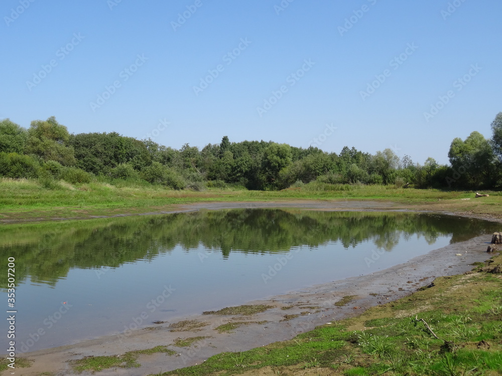 Fototapeta premium The river in the forest