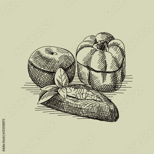 Hand drawn sketch of traditional Azerbaijani dish three sisters dolma. Fried green bell pepper, tomato and eggplant stuffed with minced ground meat	