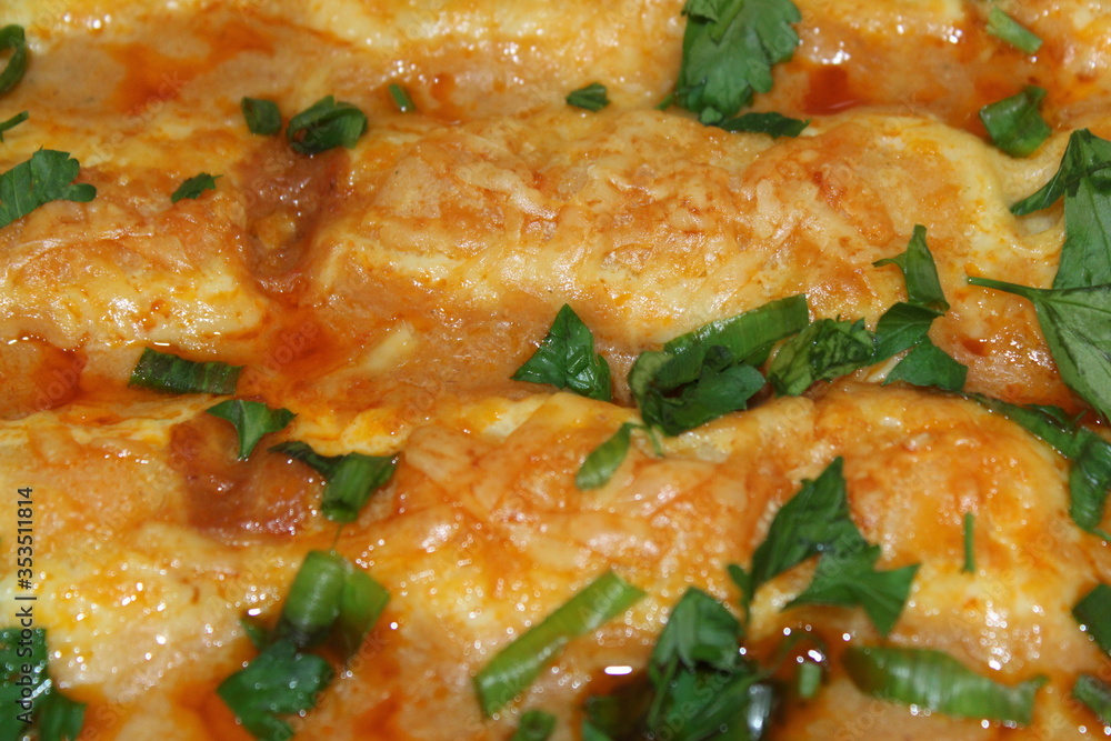 Cannelloni and sauce with chicken Cannelloni and sauce with chicken