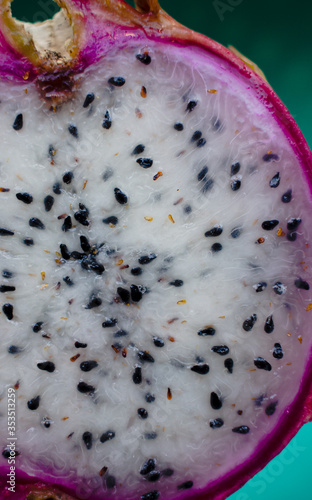 Dragon Fruit- Pitaia
