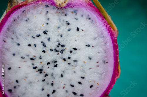 Dragon Fruit- Pitaia