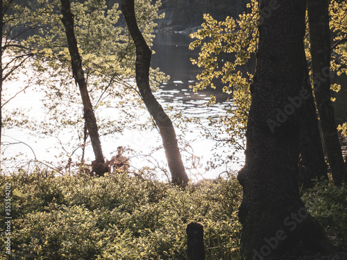a view on person silhouette on lake in the forest
