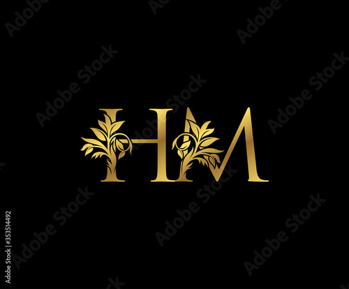 Classy Gold letter H, M and HM  Vintage decorative ornament letter stamp, wedding logo, classy letter logo icon.