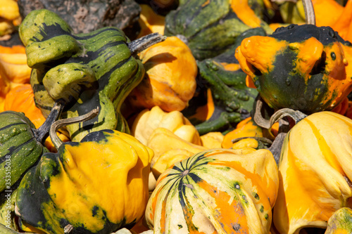 Ornamental Gourds range from small in size, approximately five centimeters in length, to large in size, approximately thirty centimeters in length, and are oblong, pear-shaped, curved, bulbous, or cyl
