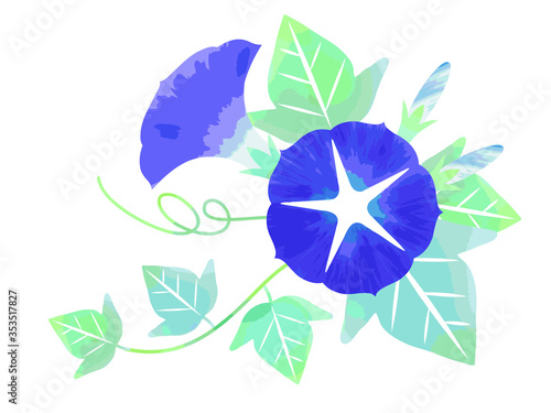 朝顔のイラスト素材