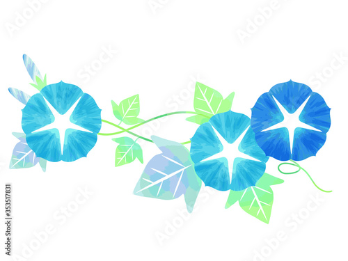 朝顔のイラスト素材