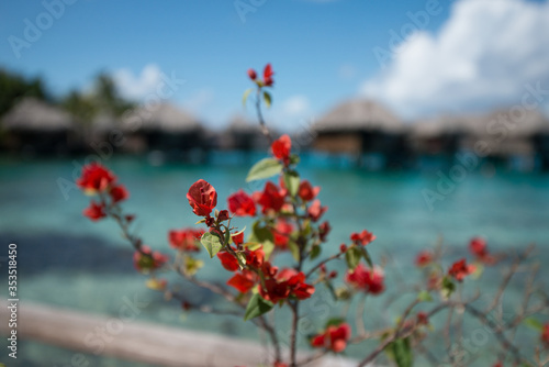 Bora Bora, book a room in paradise
