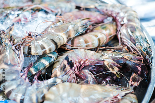 Feresh tiger prawn shrimp sell in fishery market photo