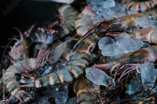 Feresh tiger prawn shrimp sell in fishery market