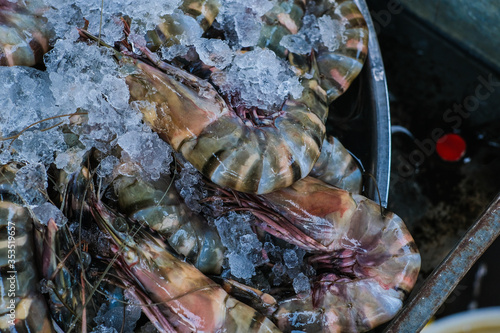 Feresh tiger prawn shrimp sell in fishery market photo