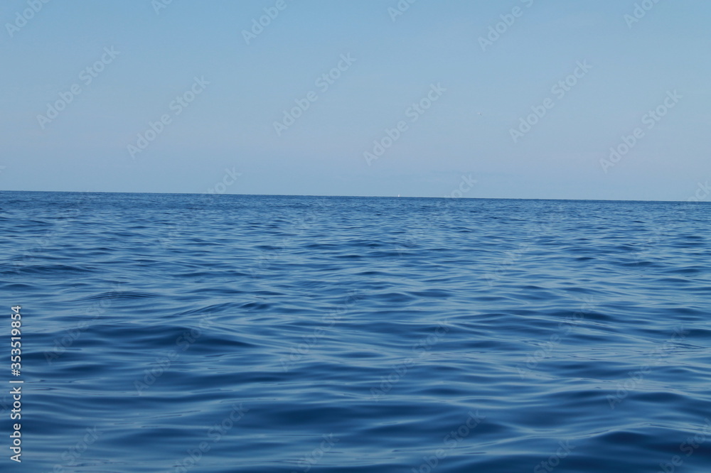 Obraz premium Sea bird and dolphins