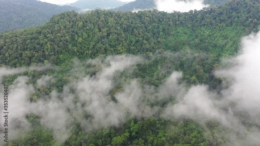 Rainforest and clouds. Aerial view of rain forest jungle. Mist,fog and mountains in Southeast Asia Rainforest and clouds. Aerial view of rain forest jungle. Mist,fog and mountains in Southeast Asia