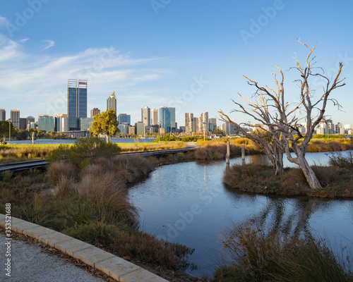 A park at the South Perth Foreshore. The Perth city skyline can be seen in the background. 