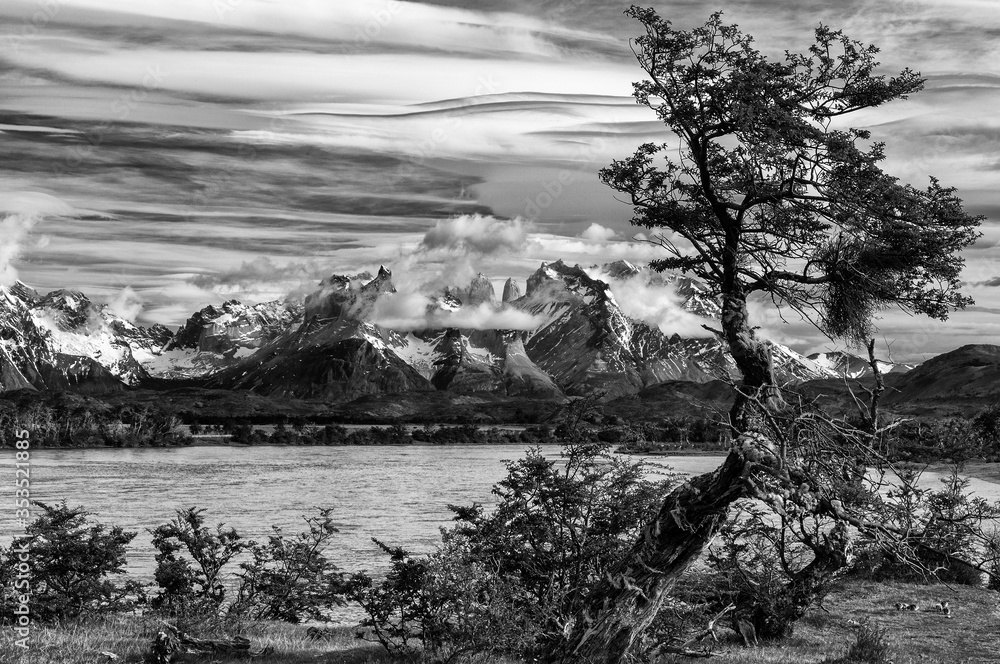 Fototapeta premium Rio Serrano landscape with Torres del Paine horns in the background. Rio Serrano, Chile.