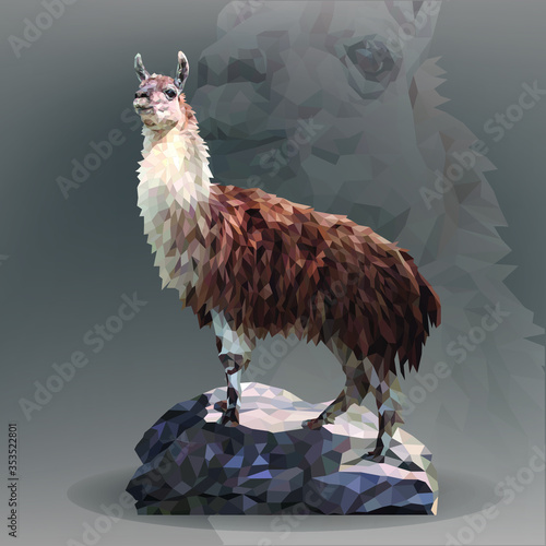 Lama in geometrical style
