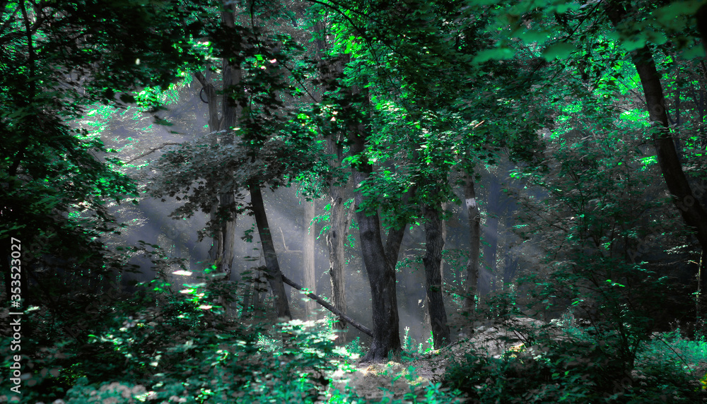 Obraz premium Magical green forest, the rays of the sun through the leaves, beautiful atmosphere
