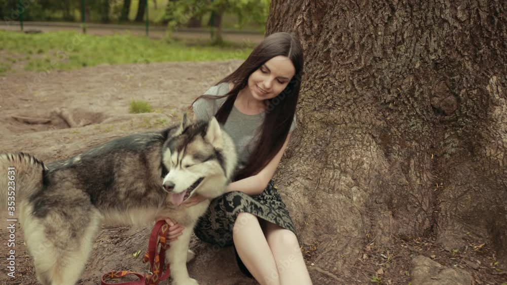 An Attractive Young Blonde Woman Play With Purebred Siberian Husky Dog In Park. Stroking, Hugging. A Bright Sunny Day. The Concept Of Friendship, Care, Human And Animal Help An Attractive Young Blonde Woman Play With Purebred Siberian Husky Dog In Park. Stroking, Hugging. A Bright Sunny Day. The Concept Of Friendship, Care, Human And Animal Help