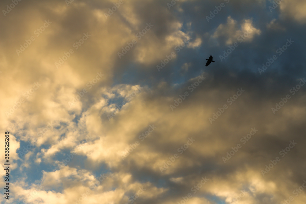 Beautiful clouds during sunset. Resource for designers. Beautiful clouds during sunset. Resource for designers.