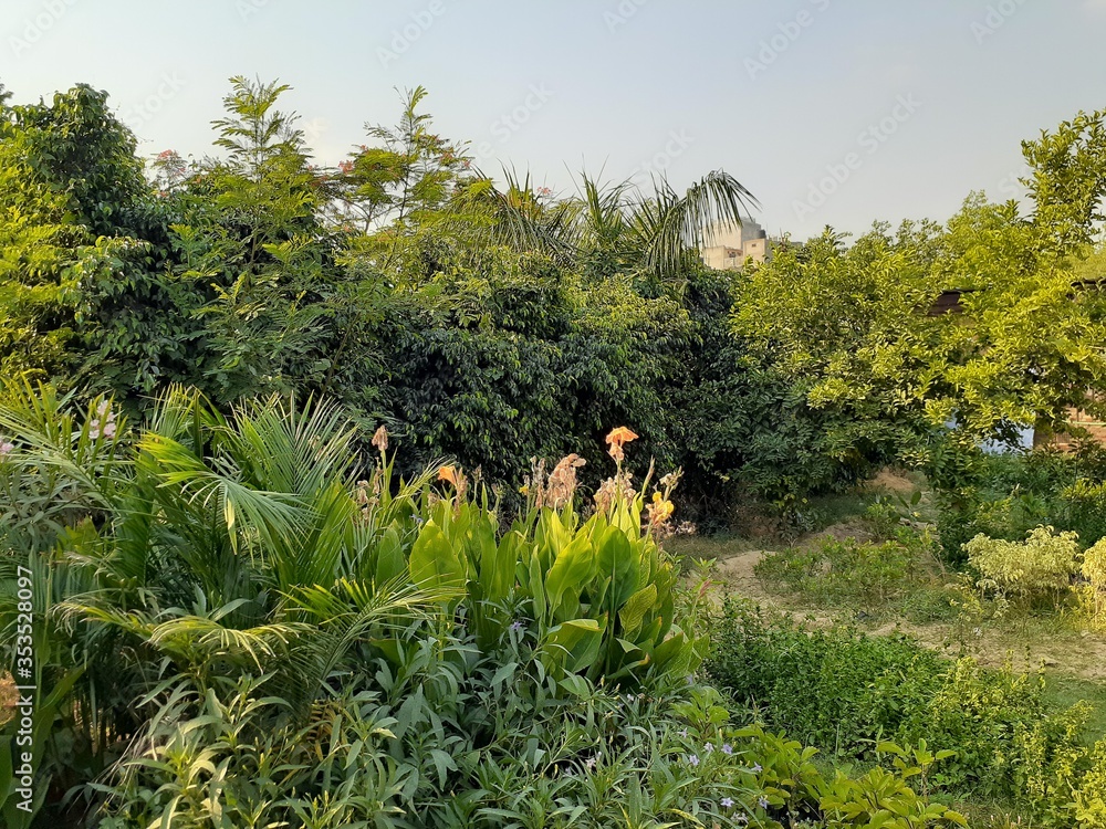 Garden Garden