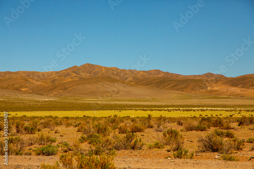 Green field and mountain range