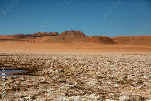 Salt Patches on the Desert Ground with Some Water and Mountains on a Clear Blue Sky Day