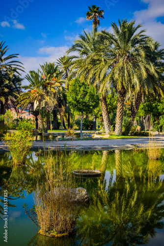 Fototapeta Naklejka Na Ścianę i Meble -  City Park. Elche, province of Alicante. Spain