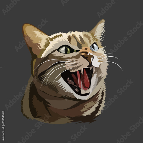 Realistic cat illustration. funny cat expression