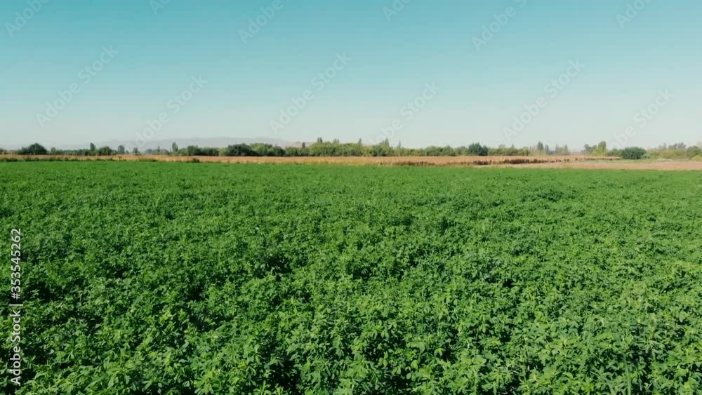Artificial dam in the middle of the drought crops Artificial dam in the middle of the drought crops