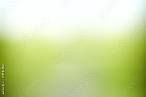 green nature blur bokeh background